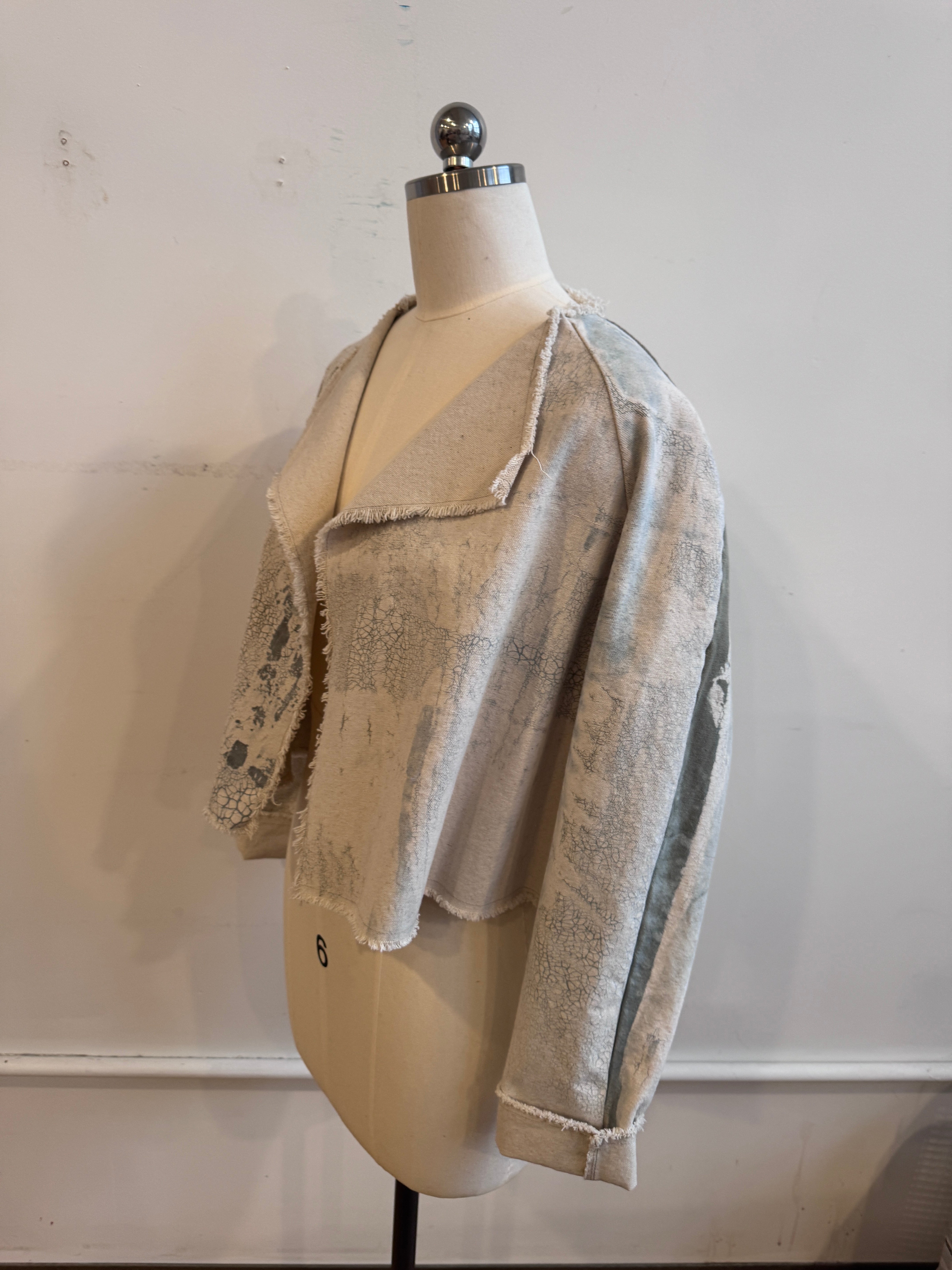 Valeria Jacket in Light Sage Crackle